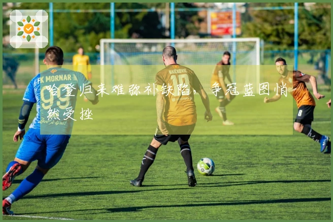 哈登归来难弥补缺陷，争冠蓝图悄然受挫