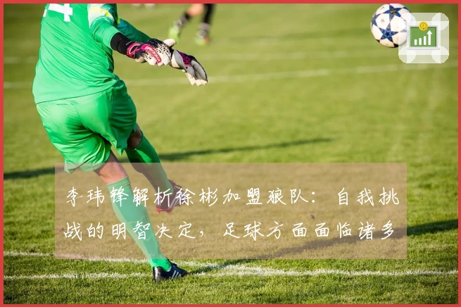 李玮锋解析徐彬加盟狼队：自我挑战的明智决定，足球方面面临诸多困难